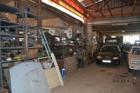 DSC_0094 — копия